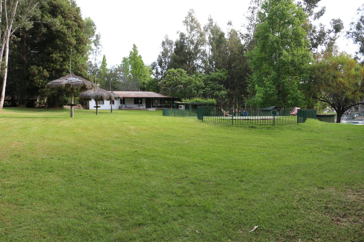 Campo verde del retiro